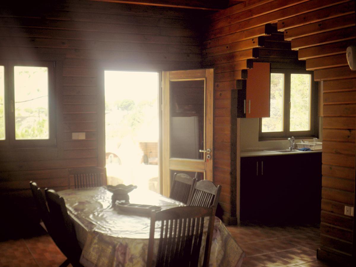 Timber Log House Chalet